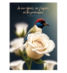 CARTE avec verset Oiseau et roses blanches