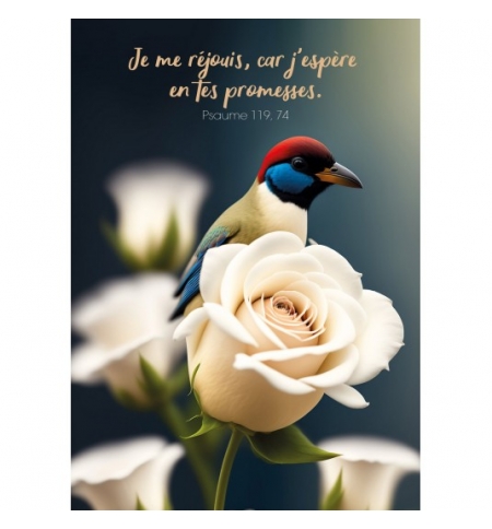 CARTE avec verset Oiseau et roses blanches