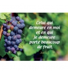 MINI CARTE Grappe de raisin