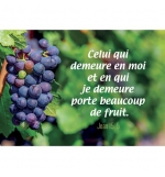 MINI CARTE Grappe de raisin
