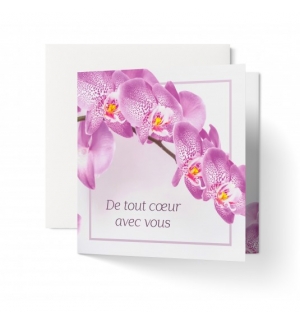CARNET Branche d'orchidées blanches et roses condoléances