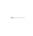 CHAINE FORCAT 2MM 50CM ARGENT RHODIE