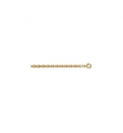 CHAINE FORCAT 3MM 50CM PLAQUÉ OR