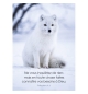 Carte Avec Verset Renard arctique sur la neige