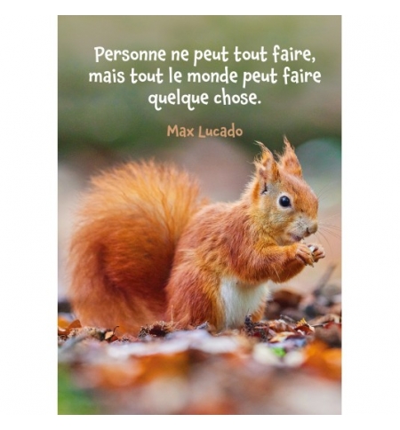 Carte Écureuil en automne Carte Écureuil en automne