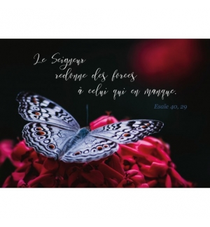 Carte Citation Bouquet de fleurs roses