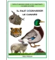 Il faut dégraisser le canard - Hélène Froelich ( 6-12 ans)