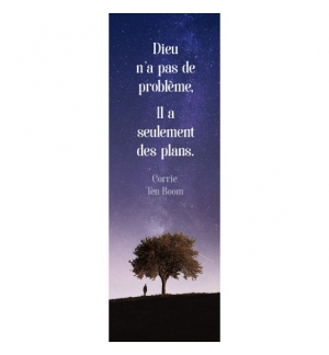 Signet Arbre isolé sous la nuit étoilée