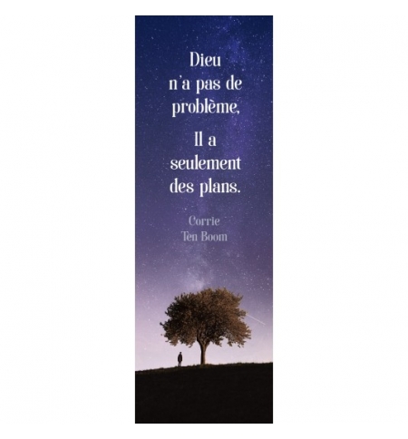 Signet Arbre isolé sous la nuit étoilée