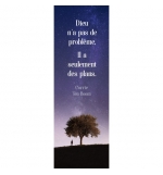 Signet Arbre isolé sous la nuit étoilée