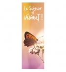 Signet Papillon sur fond orange
