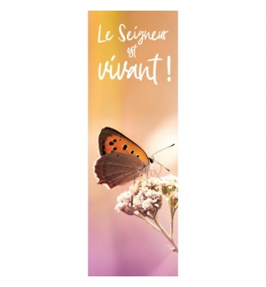 Signet Papillon sur fond orange