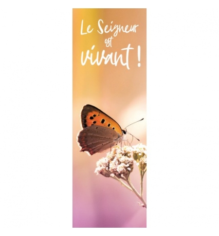 Signet Papillon sur fond orange