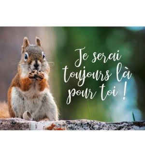 Mini Carte Écureuil grignotant un gland sur un muret