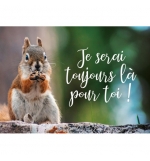 Mini Carte Écureuil grignotant un gland sur un muret