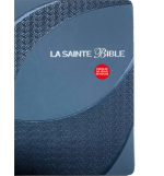 La Sainte Bible Segond 1910 - Grise - Gros caractères