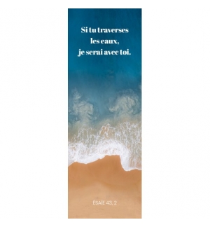 Signet Vagues sur la plage