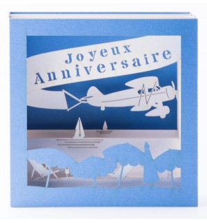 Carte AVION 3D