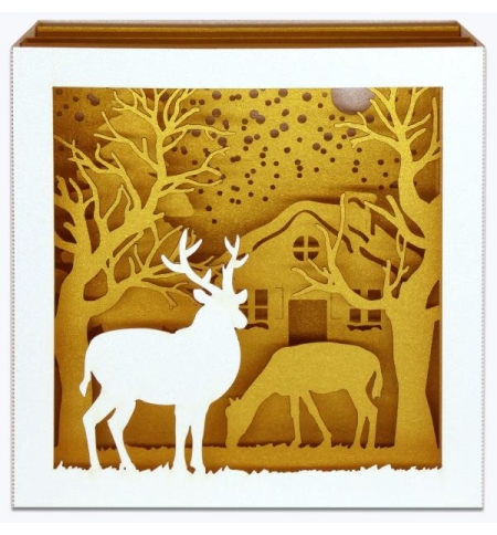 Carte CERF OR 3D