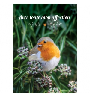Carte Avec Message Oiseau sur buisson