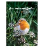 Carte Avec Message Oiseau sur buisson