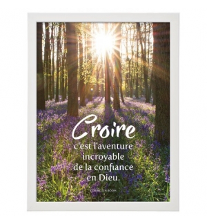 Cadre poster : Sous-bois avec un parterre de fleurs violettes