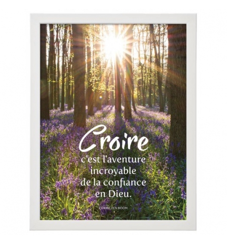 Cadre poster : Sous-bois avec un parterre de fleurs violettes