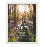 Cadre poster : Sous-bois avec un parterre de fleurs violettes