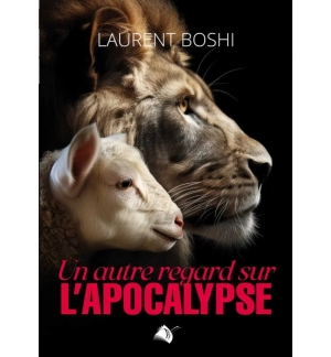  Un autre regard sur l’Apocalypse - Laurent Boshi