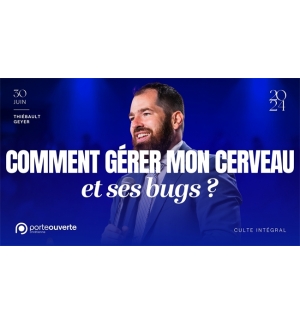 Comment gérer mon cerveau  - Thiebault Geyer MP3