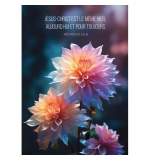 Carte Avec Fleurs multicolores sur fond flou