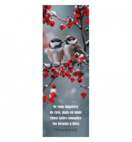 Signet Deux oiseaux posés sur une branche en hiver Signet Deux oiseaux posés sur une branche en hiver