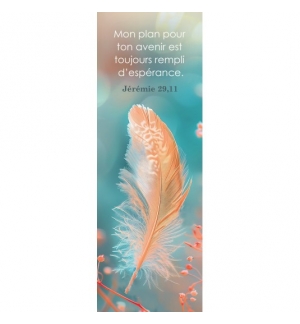 Signet Plume orange sur fond bleu