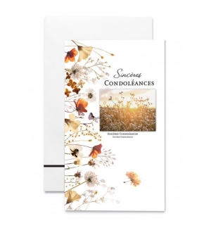 Cartes Sinceres Condoléances fleurs champs divers coloris