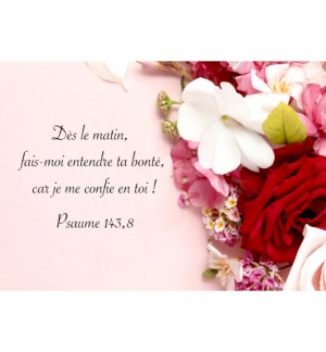 MINI CARTE Fleurs sur fond rose