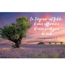 MINI CARTE Arbre dans un champ de lavande au coucher du soleil