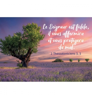 MINI CARTE Arbre dans un champ de lavande au coucher du soleil