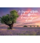 MINI CARTE Arbre dans un champ de lavande au coucher du soleil
