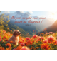 Carte avec verset Chiot  dans un champ de fleur dans la montagne