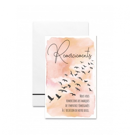 Mignonettes Remerciements condoléances Oiseaux sur fond orange