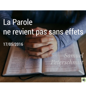 La Parole ne revient pas sans effets - Samuel Peterschmitt