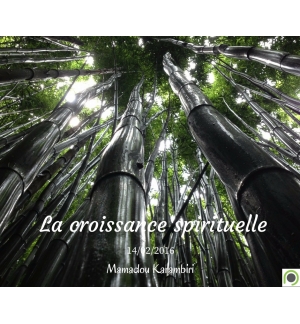 La croissance spirituelle - Mamadou Karambiri -