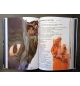 La Bible pour enfants -  A partir de 9 ans