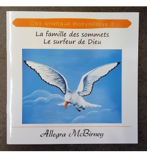 La famille des sommets - Le surfeur de Dieu - De 7 à 9 ans
