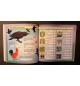 Bible en jeux tome 3 - a partir de 7 ans