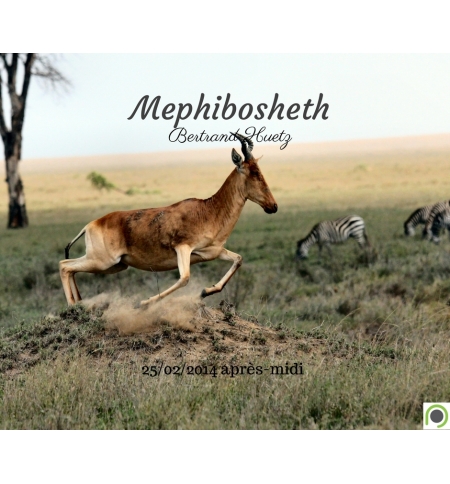 Mephibosheth - Bertrand Huetz - CD ou DVD Mephibosheth - Bertrand Huetz - CD ou DVD