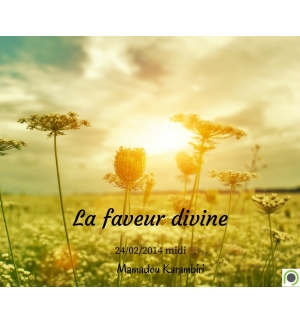 La faveur divine - Mamadou Karambiri - CD ou DVD