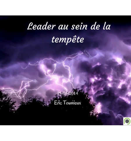 Leader au sein de la tempête - Pascal Bonnaz