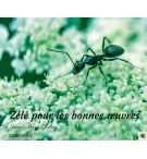 Zélé pour les bonnes œuvres - Jean-Marie Ribay - CD ou DVD