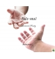 Suis-moi - Bertrand Huetz - CD ou DVD